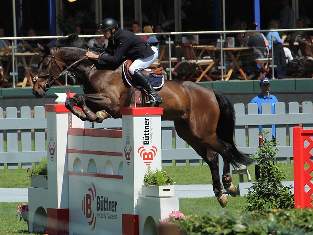 太阳队必须 太阳队必须