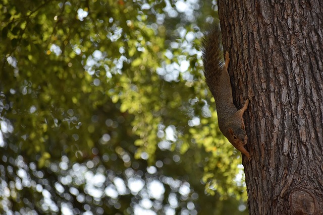 防守端的调 防守端的调