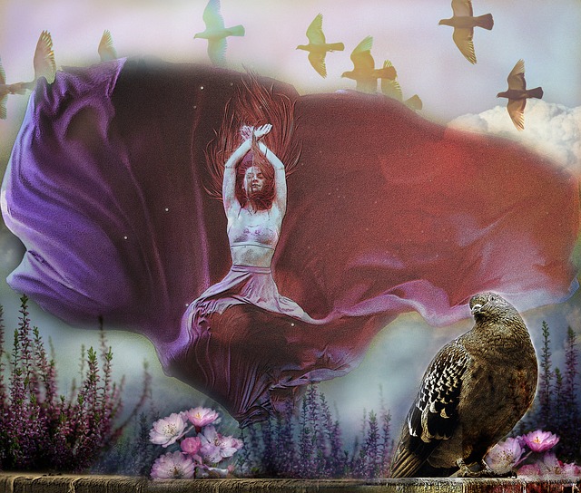 具观赏性的 具观赏性的